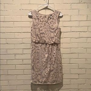 Adrianna Papell dress